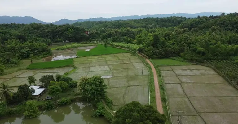 বিকেএসপির প্রস্তাবিত জমি